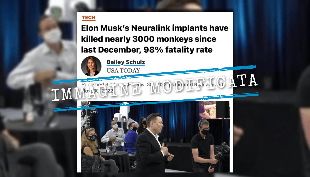 no,-un’azienda-di-elon-musk-non-ha-«ucciso-quasi-3000-scimmie»-in-un-anno