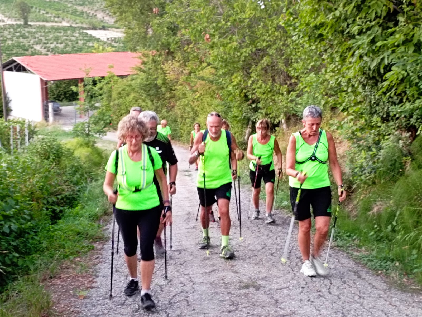 con-il-nuovo-anno-riprendono-anche-le-camminate-del-monferrato-nordic-walking