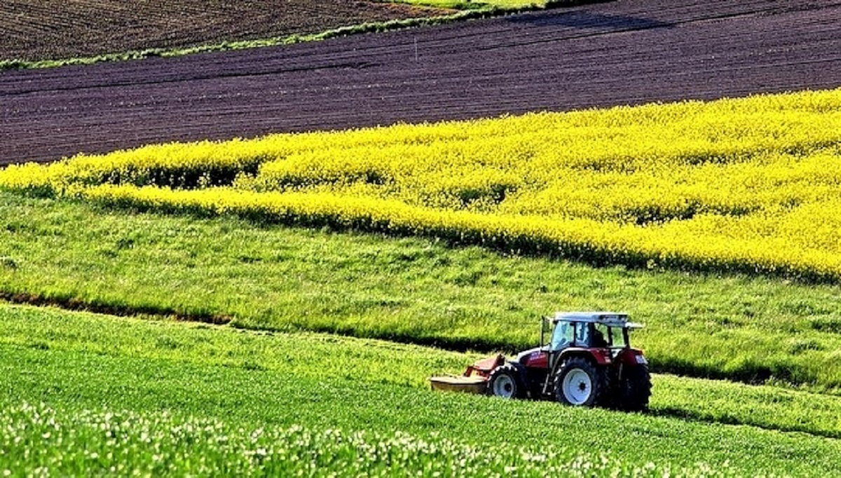 calabria,-rincari-del-27%-nel-settore-agricolo:-l'impatto-sulla-spesa-dei-cittadini