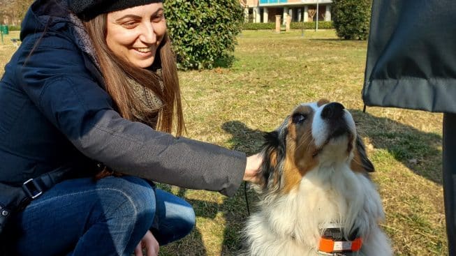 cane-antiveleno-trova-polvere-tossica-nel-parco-dei-giusti-di-nichelino-–-quotidiano-piemontese