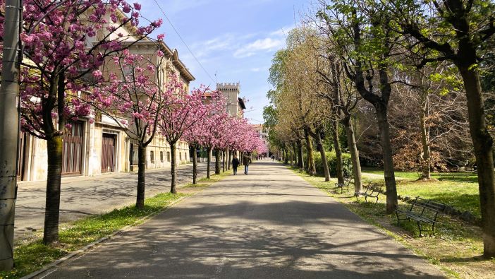 biella-la-giunta-corradino-punta-forte-su-gestione-e-cura-del-verde-pubblico-e-aderisce-alla-campagna-di-lotta-biologica-alle-zanzare-–-bi.t-quotidiano-|-notizie-dal-biellese